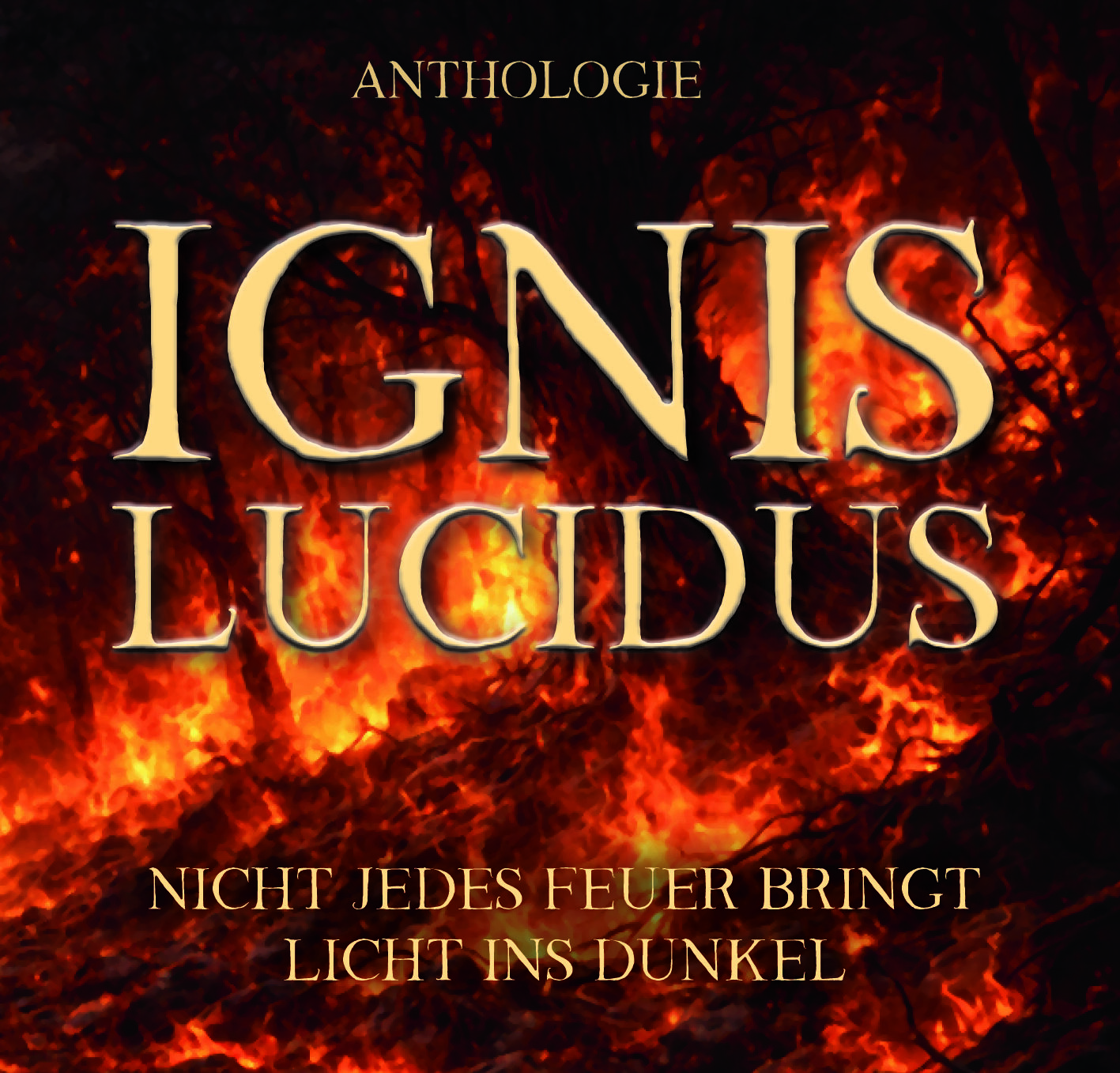 Ignis Lucidus - Nicht jedes Feuer bringt Licht ins Dunkel
